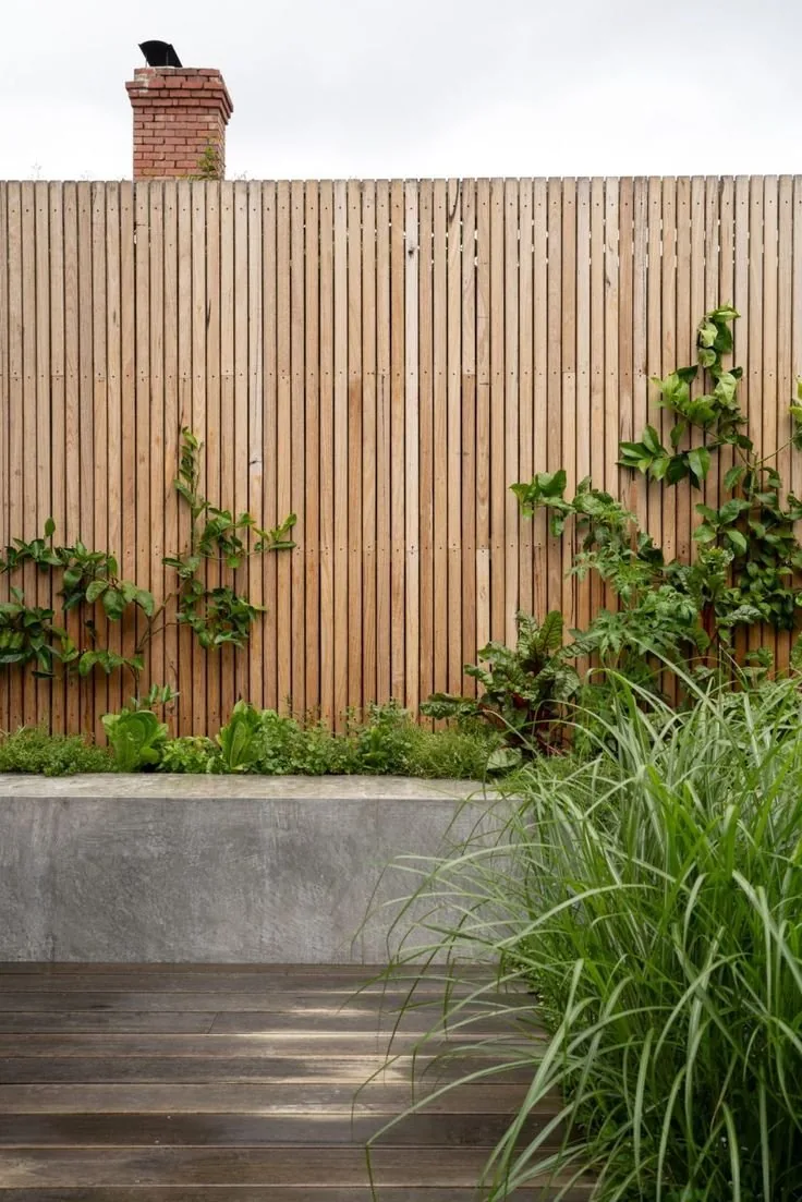 Vertical timber batten fence with climbing plants and ornamental grasses in front, a concrete retaining wall and timber steps below